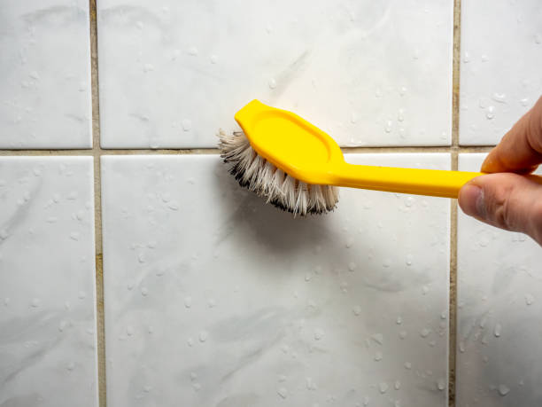Best Certified Mold Removal  in University Of Virginia, VA