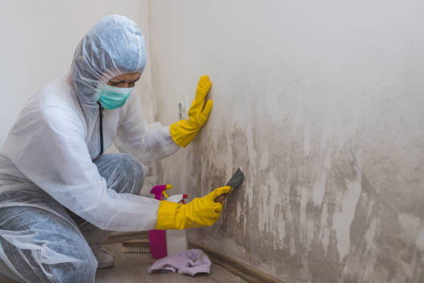 Best Emergency Mold Removal  in University Of Virginia, VA