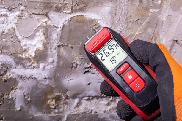 Best Residential Mold Removal  in University Of Virginia, VA