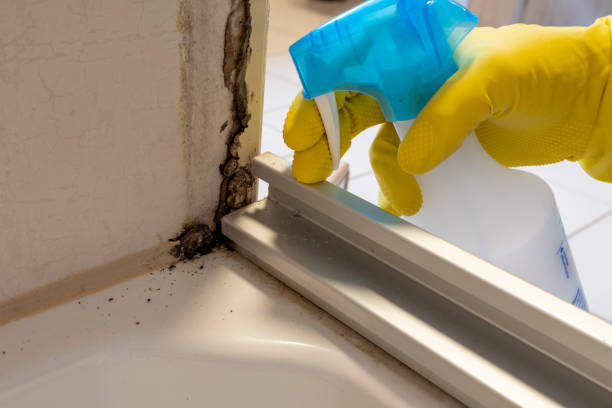 Best Mold Testing  in University Of Virginia, VA