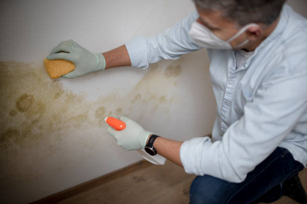 Crawl Space Mold Removal in University Of Virginia, VA