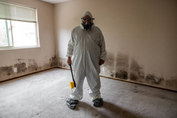 Office Mold Removal Services in University Of Virginia, VA