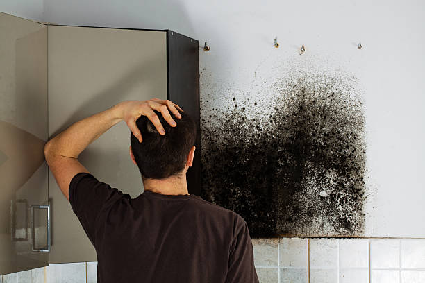 Mold Testing and Removal in University Of Virginia, VA